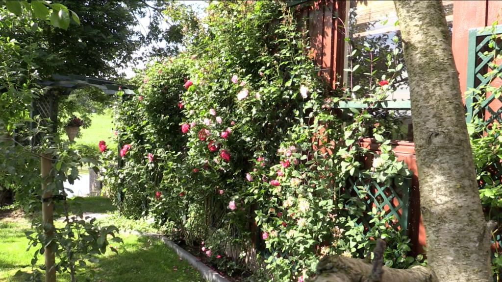 B & B Zazza Raerd Exterior foto